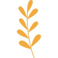 Administrator
